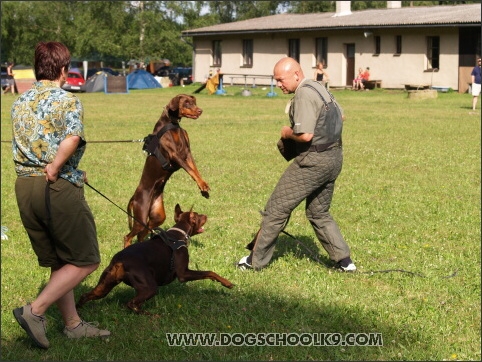 Training camp - Lukova 2007